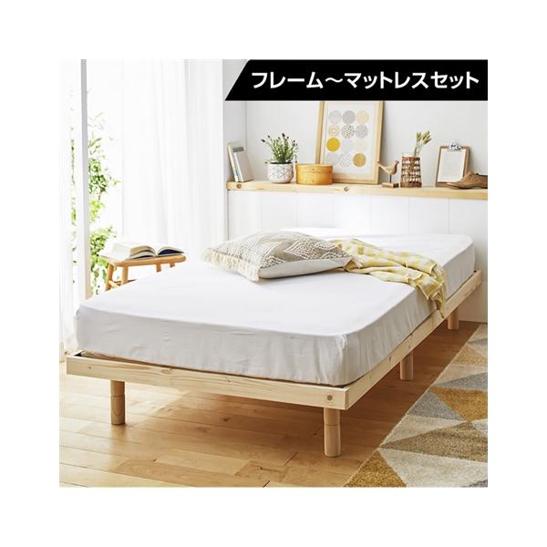 nissenzai_zzy4020a0006