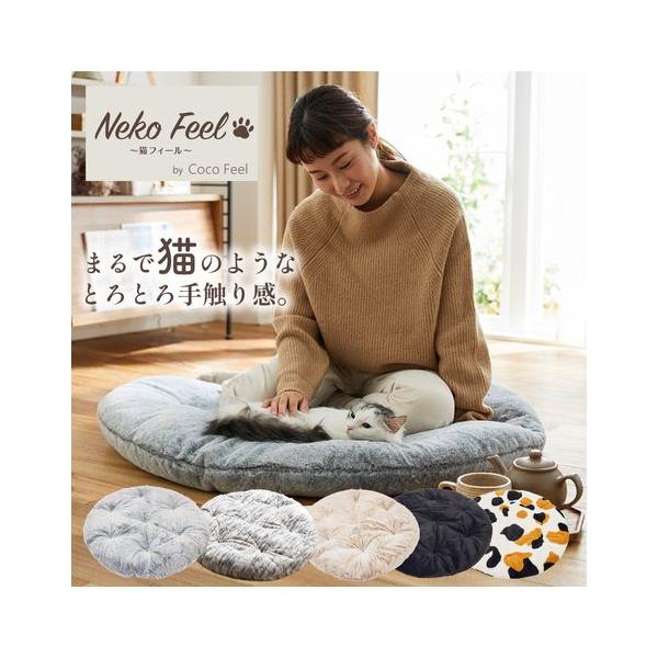 【関連キーワード】 一人暮らし 大学生 社会人 春 秋 冬