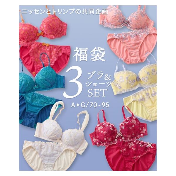 i*o様 ブラジャーショーツセット D70 3点セット ニッセン（nissen） ブラジャー ショーツ セット レディース 高嶺の