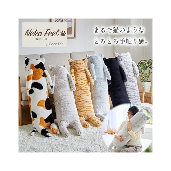 【関連キーワード】 一人暮らし 大学生 社会人 春 秋 冬