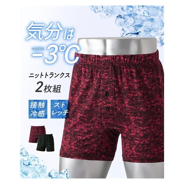 トランクス メンズ 気分はー3℃ひんやり 接触冷感 メッシュ編み前ボタン開き ニット 2枚組 夏 大きいサイズ インナー 男性下着 | 3L/4L/5L/6L | ニッセン nissen