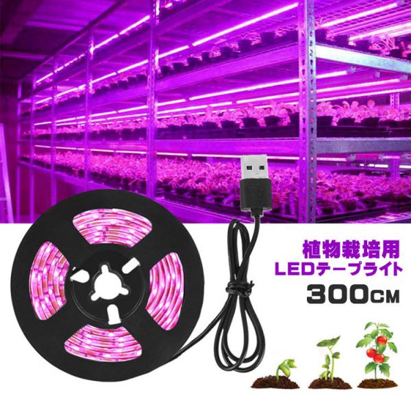 植物育成ライト LED植物用 LEDテープライト 植物成長促進 LEDテープライト防水 USB対応 3m SMD3528 5V LEDテープ  植物育成ランプ 家庭菜園 室内園芸  野菜工場