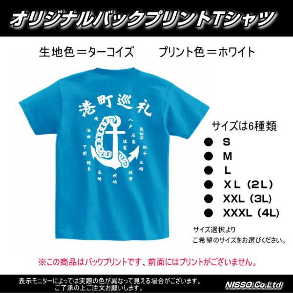 nisso_tshirtminatomatiturq