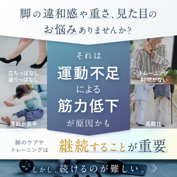 nissoplus_np-lf23_5_d_20241011161459