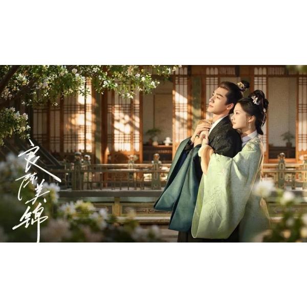 日本語字幕 中国ドラマ「A Splendid Match 良陳美錦」blu-ray