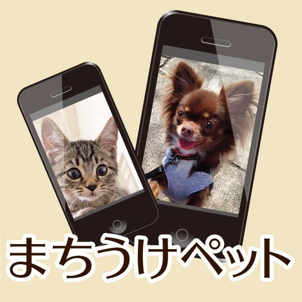 まちうけペット A にてらシール屋さん 通販 Yahoo ショッピング