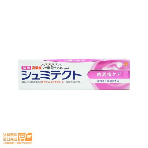 アース製薬シュミテクト 歯周病ケア 90g医薬部外品 薬用ハミガキ : 日