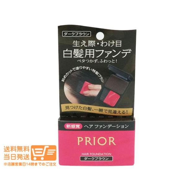 資生堂 プリオール ヘア ファンデーション ダークブラウン 白髪用 毛髪着色料 ブラシ付き 3.6g