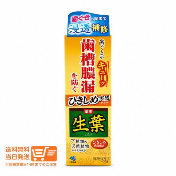 小林製薬 2個セット ひきしめ生葉 100g 歯磨き粉 歯周病 口臭予防ハミガキ オーラルケア 爆買