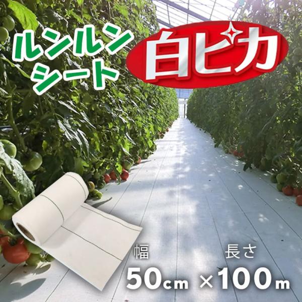 防草シート ルンルンシート白ピカ 50cm×100m／巻 白 雑草 芝生 DIY 草