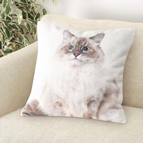 クッションカバー @Kitty 楽天市場】【BF ポイント10倍 要エントリー ~11/27 1:59】[公式