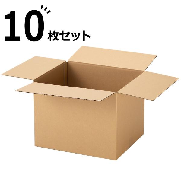 �_���{�[�� A4/B4�T�C�Y 10���Z�b�g �j�g��