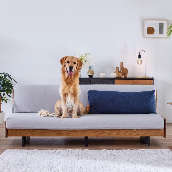 nitori-net_4954779211609