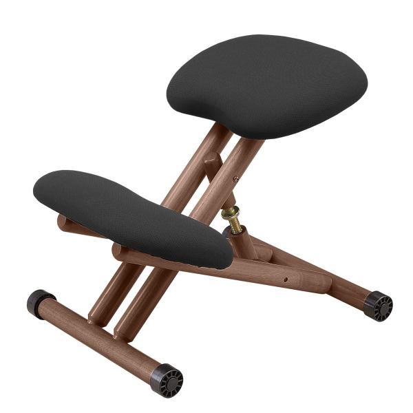 ニトリ　バランスチェア バランスチェア(H-1721FX BL) | ニトリネット【公式】 家具