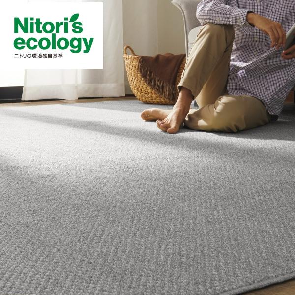 NITORI（ニトリ）『防ダニカーペット（Nルコルテ）』