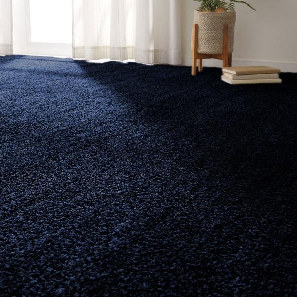 NITORI（ニトリ）『抗菌防臭カーペット（KPBシャギー）』