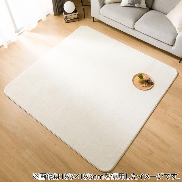 ニトリ　ほこりがとれやすい洗えるラグ　200X240 ベージュ ニトリ ほこりがとれやすい洗えるラグ(200X240 BE SR002
