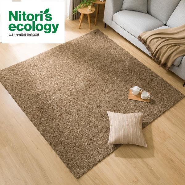 ニトリ 汚れが落ちやすいダイニングラグ Nチェーンループ ベージュ