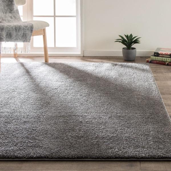 【ほぼ新品】ニトリ アクセントラグ Nナノシャグ 285×200 楽天市場】アクセントラグ(Nナノシャグ)(Living in Comfort