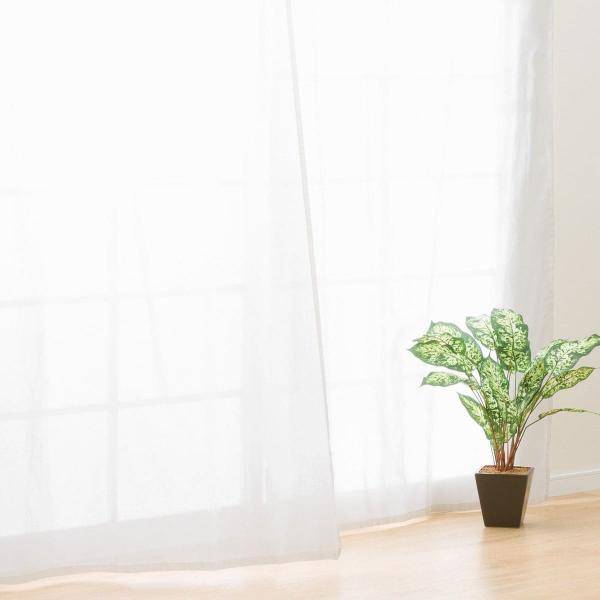 ニトリ　オーダーカーテン　ロコナムアイボリー+レースカーテン(ドイリー) 1式 ニトリ オーダーカーテン ロコナムアイボリー+レースカーテン