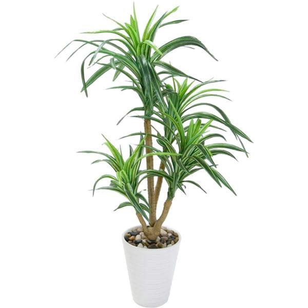 ドラセナ セラミックポット 57cmwh F1 Pu394 118 ニトリ 玄関先迄納品 1年保証 ニトリ Yahoo 店 通販 Yahoo ショッピング