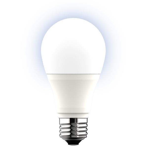 早割チケット ニトリ LED電球(E26口金 100W相当 LEE100WM-N) : ニトリ Yahoo シーリングライト・天井照明
