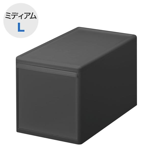 ニトリ（NITORI） 組み合わせて使える収納ケース(ミディアム Lサイズ