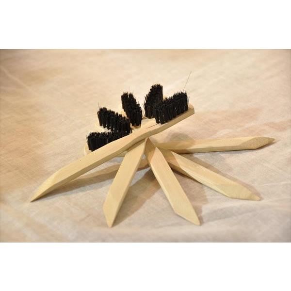 RuX|悤5{Zbg @vCRoPA@N[IChz@ꗎƂȂǁ@|[W