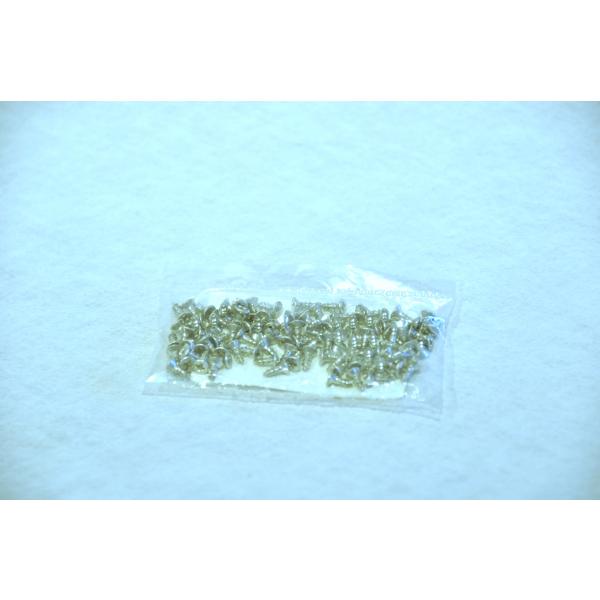 ビス100個セット ビンテージトゥスティール、ジェリーフィッシュに対応するネジです。材 質:ステンレス+メッキ処理種 類:SUS皿木ネジ長 さ:6.3mmネジ部:2.1mm 頭 :3mm---------------------------...