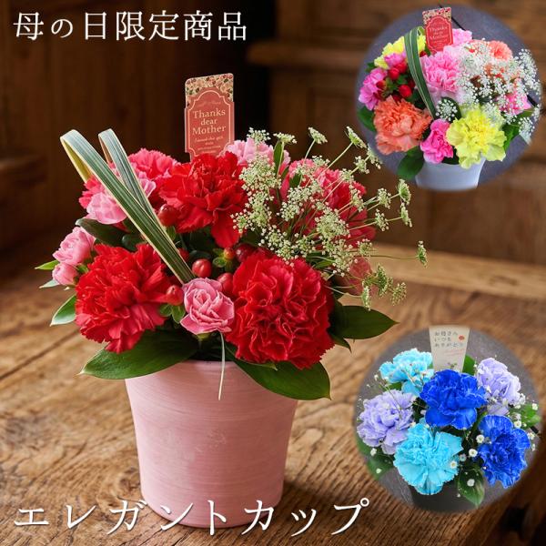 母の日】 花 ギフト エレガントカップ カーネーション □フラワー