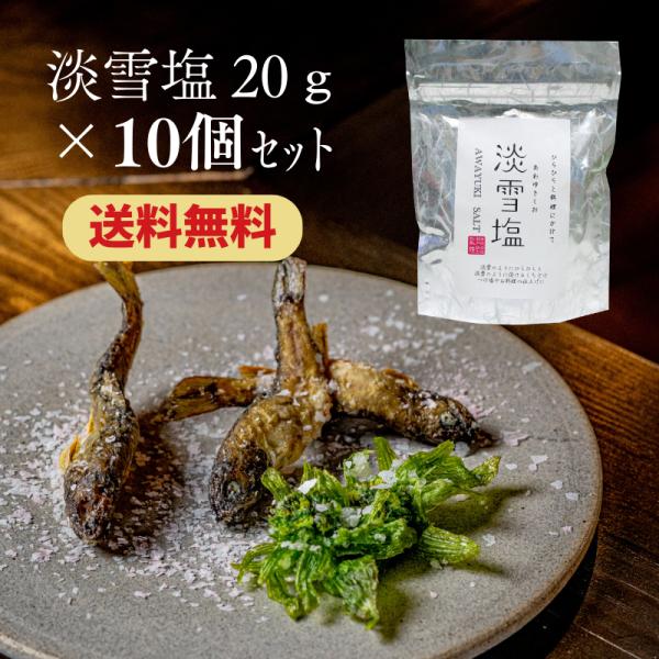 （価格リニューアル）(工場直送) 淡雪塩 20ｇ 10個 セット 日東食品工業 ニットーリレー フレーク 仕上げ 調味料 塩 雪の結晶