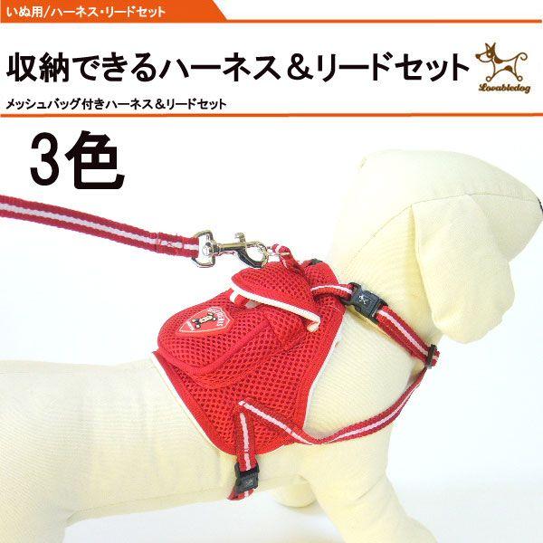  n[lX[hZbg bVobOt  n[lX [h  Ck hbO dog ^ ^@p ybgp  U o [֑