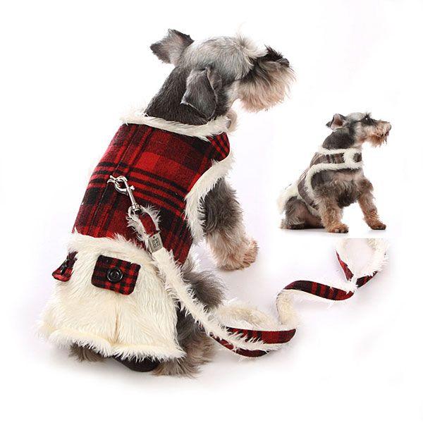  n[lX   Ck hbO dog ^ ^@p ybgp  U o ȒP@[֑