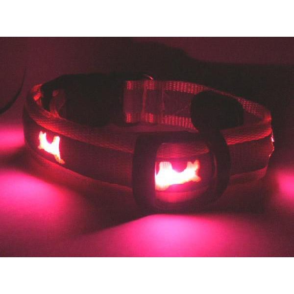夜のお散歩でも安心 Ledライト付き 光る首輪 ギガランキングｊｐ