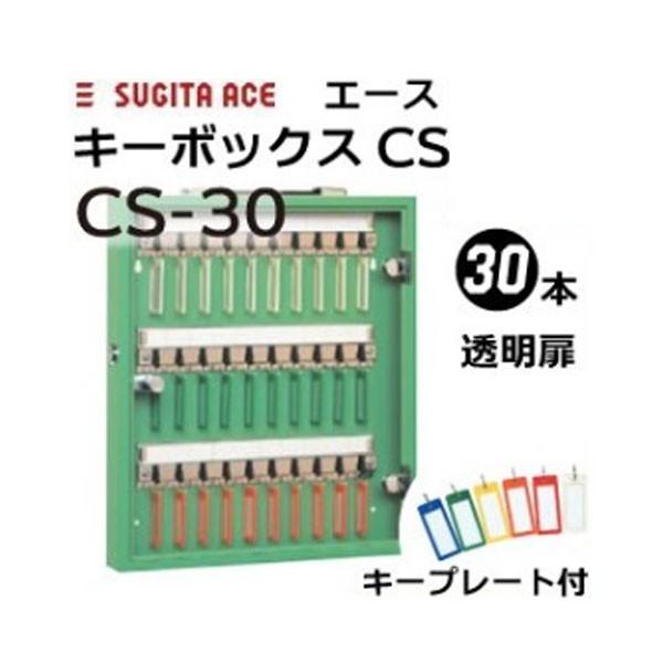 杉田エース キーボックス Cs 30 薄グリーン 30フック キープレート付 業務用 携帯 固定兼用 透明扉 Ace 161 1 にわのライフコア 通販 Yahoo ショッピング