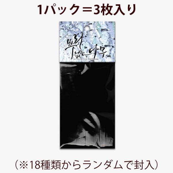韓国 コミック グッズ『根無しの木 コレクションフォトカード』（3枚