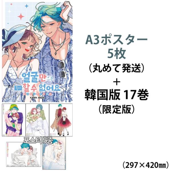 【ポスター5種+限定版】韓国語 まんが『顔だけじゃ好きになりません 17』著：安斎 かりん（韓国版） - 韓国オリジナル両面カバー+アクスタ+小冊子他