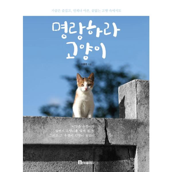 韓国語 フォトエッセイ 『明るく朗らかであれ　猫よ』 - ときに楽しく、いつも苦しい、終わりのない苦行の中でも