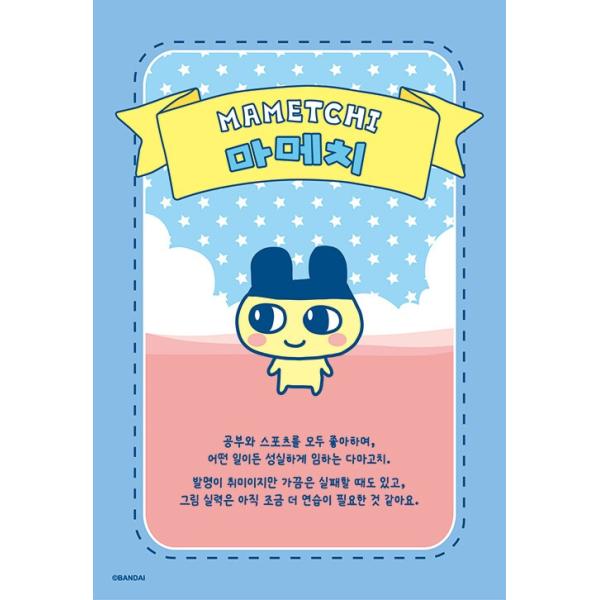 �؍� �X�e�b�J�[ �͂����u�b�N�w���܂����� �C���X�g�A�[�J�C�u�x���F�f�E�H�����u�b�N�ҏW�� ���i�摜3