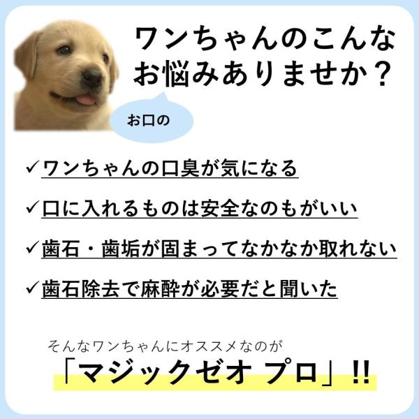 犬 口臭 歯石 除去 犬用品 歯磨き粉 マジック マジックゼオ プロ 30cc ペット 消臭 デンタル 歯石除去 Buyee 日本代购平台 产品购物网站大全 Buyee一站式代购 Bot Online