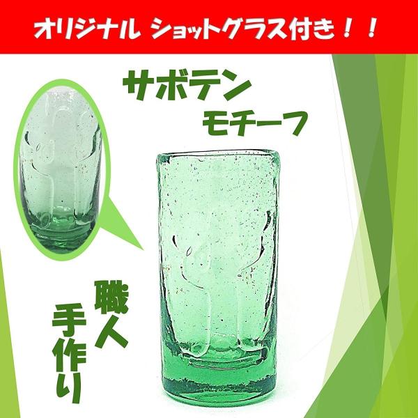 ポルフィディオ アネホ スーパー ハリスコ 新樽7年熟成 テキーラ サボテン入り 39 3度 750ml 正規品 ショットグラス付き Buyee Buyee Japanese Proxy Service Buy From Japan Bot Online