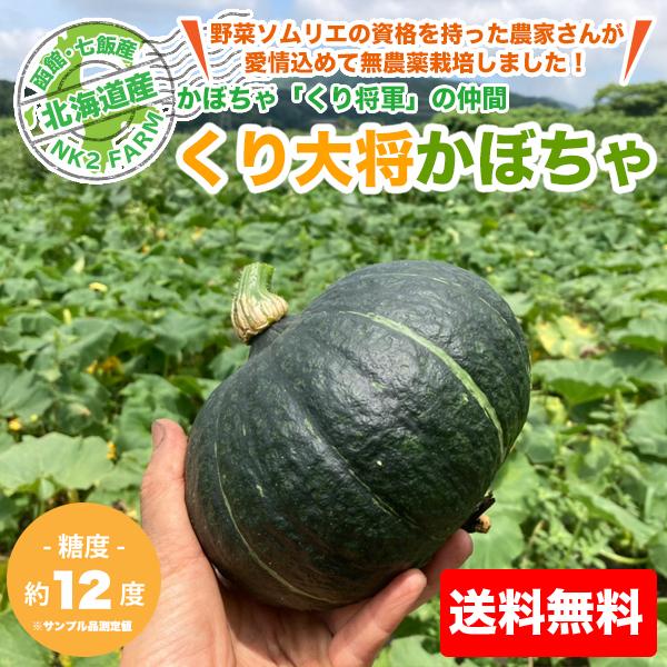 北海道産 かぼちゃ くり大将 4玉 1玉約1 3kg 送料無料 無農薬栽培のかぼちゃを北海道からお届けします Yasai001 Nk2 Farm 通販 Yahoo ショッピング