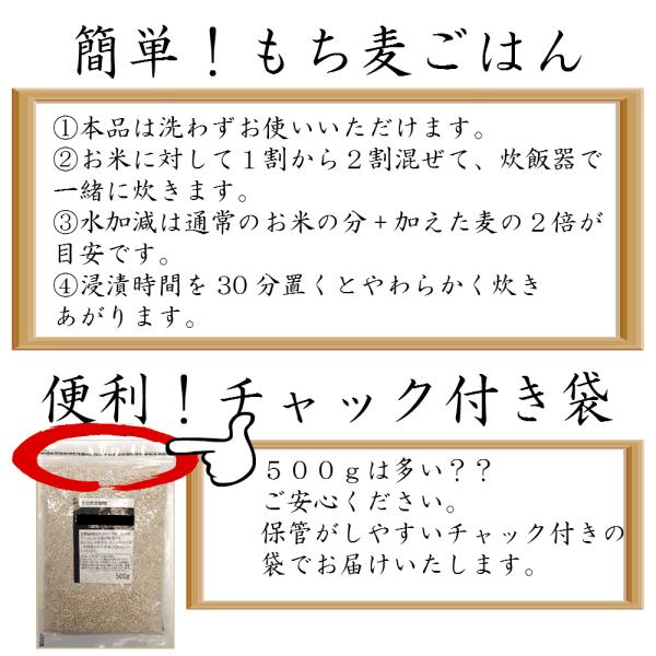 もち麦 国内産 国産 おいしいもち麦ブレンド 500g メール便 送料無料｜nkms