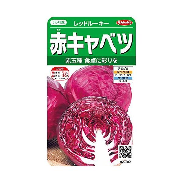 サカタのタネ 実咲野菜2200 赤キャベツ レッドルーキー 00922200