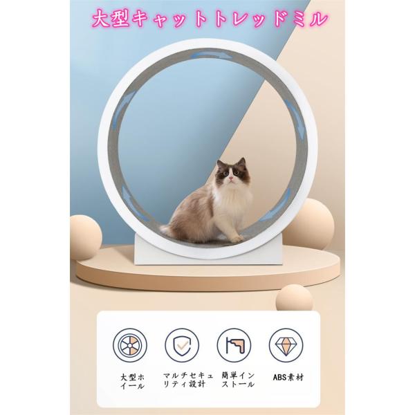 組み立て動画付き キャットホイール ランニングホイール キャットウォーク ローラー 猫のトレッドミル 回し車 爪研ぎ 猫ランニングマシン 滑り防止マット付き