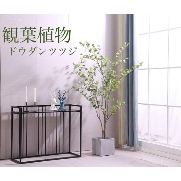 nmoat_xl-006 nmoat_xl-006