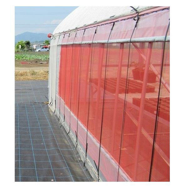 TTlbgNXbh@XR-2700@0.8mm×135cm×100m