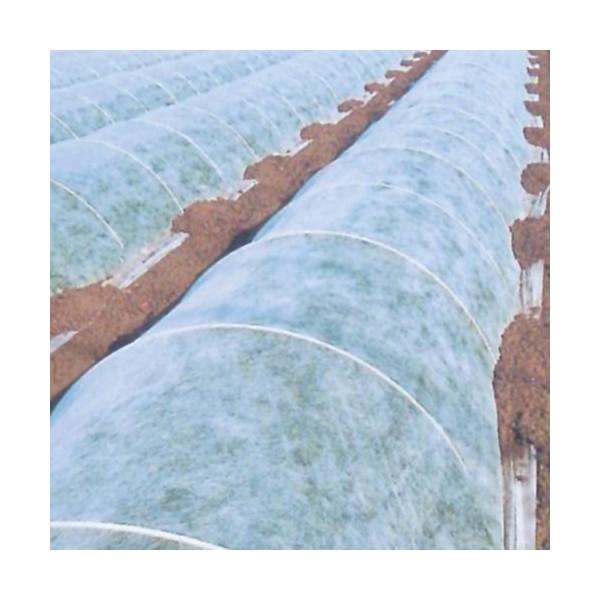 ׂ sDz ۉ pIpIXOׂ 200m×150cm