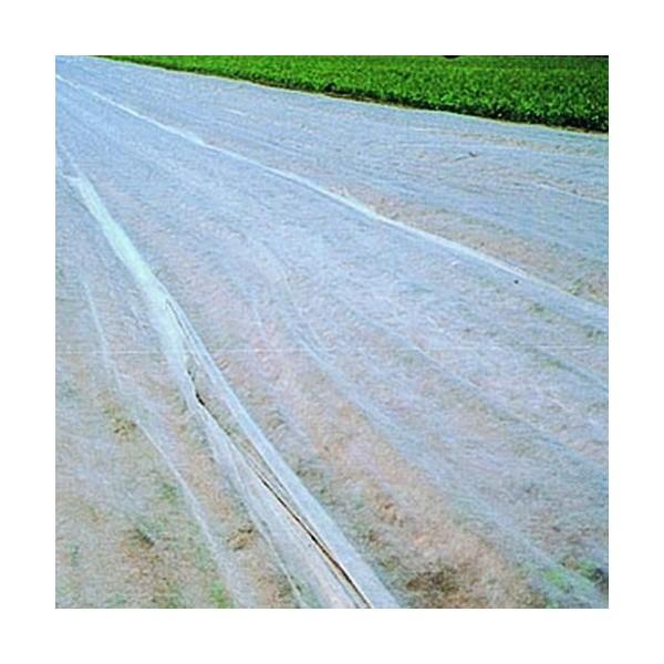 ׂ sDz@ۉށ@ׂꔭ  200m×90cm