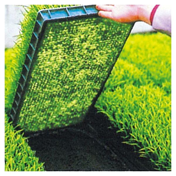 sDz@ۉށ@uV[g20307  0.13mm×100m×180cm